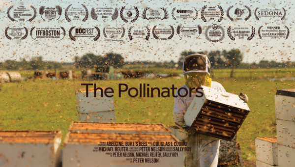 Promítání filmu Kam mizí včely + Přednáška Včely samotářky a jiní opylovači